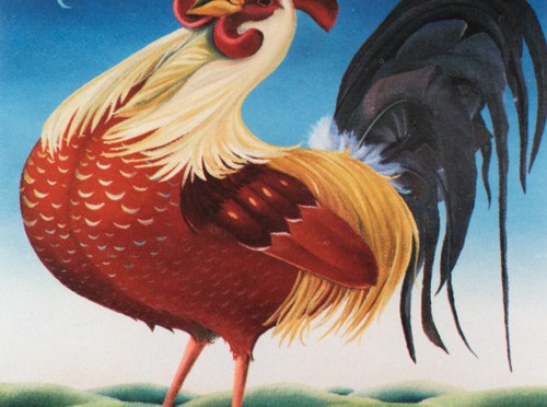 What do a Rooster, Lion, Goat, and King have in common?