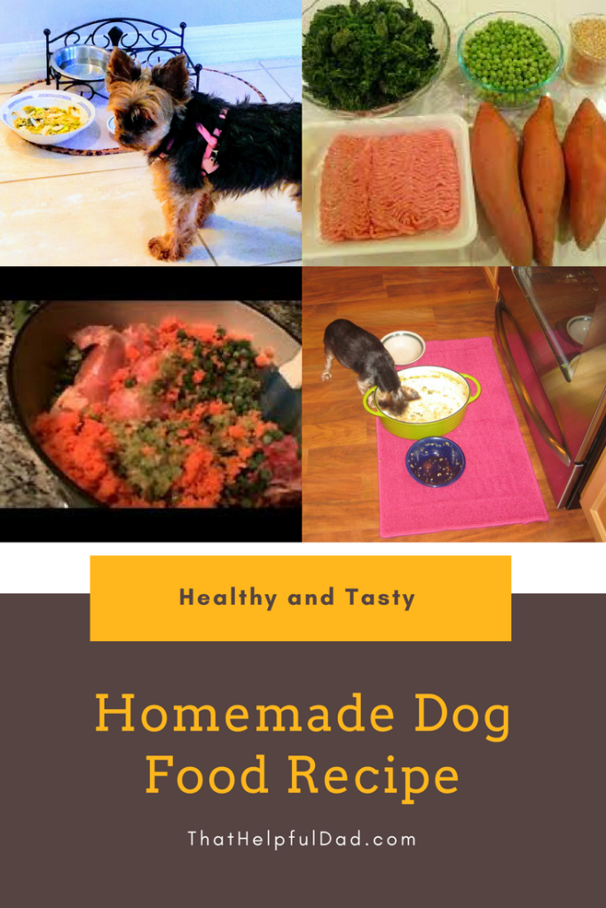 homemade dog food