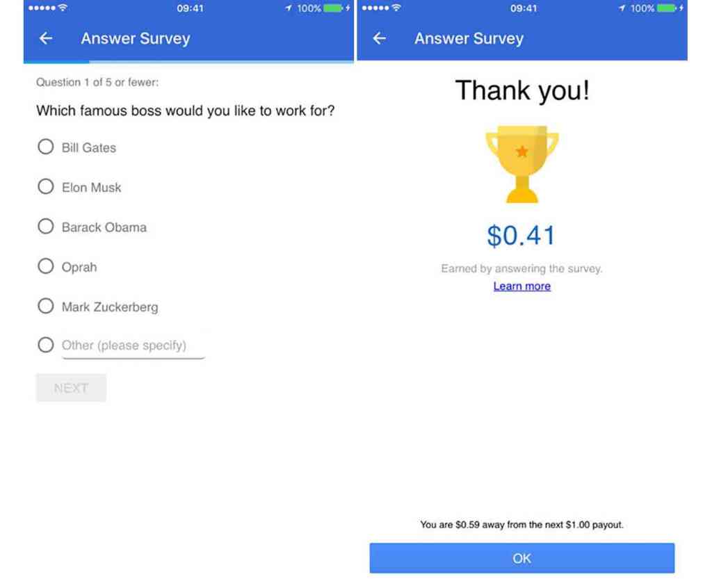 Google Opinion Rewards Example