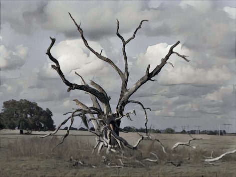 Everything is Beautiful