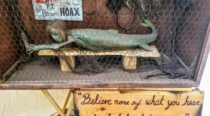 Foto Friday: The FeeJee Mermaid?